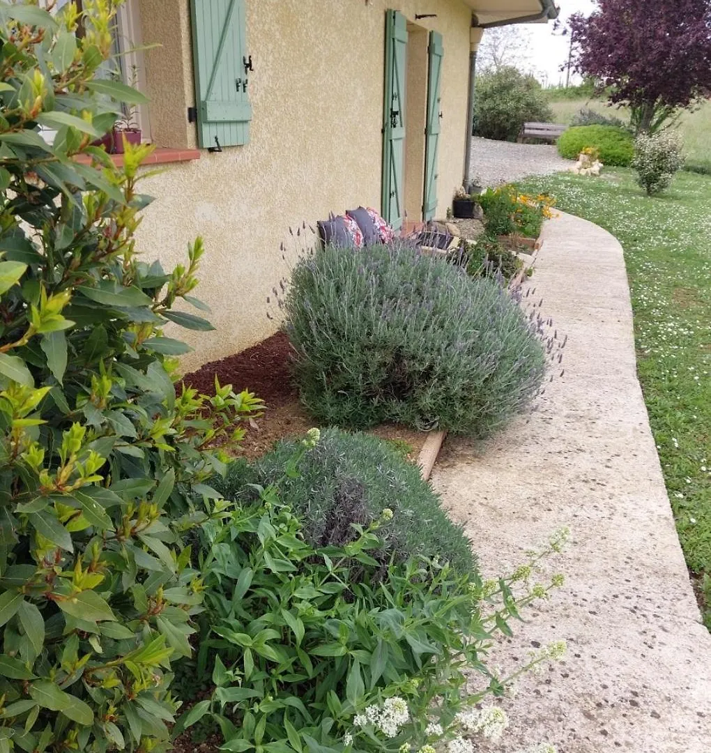 公寓 Appartement De Plain-Pied Tout Confort Carla-Bayle